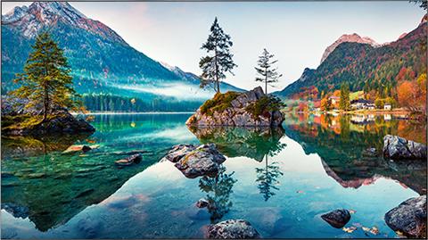 Actual product image Vestel WU55 55IN 35MM VIDEOWALL (1920 x 1080 pixels, 55")