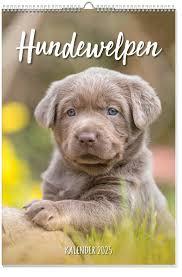 Calendrier des posters de chiots 2025 (Allemand)