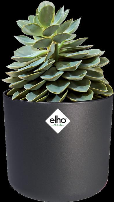Produktbild Elho b.for soft (18.30 cm)