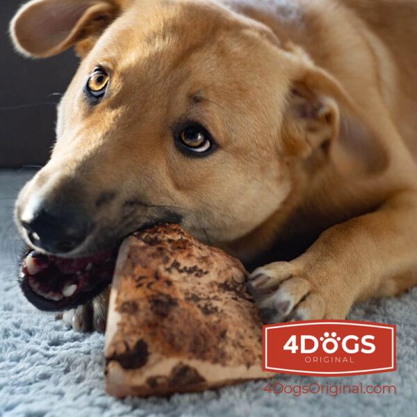 Produktbild 4Dogs Original 4DOGS - Kauwurzel aus Heide - M (Senior, 1 Stk., 300 g)