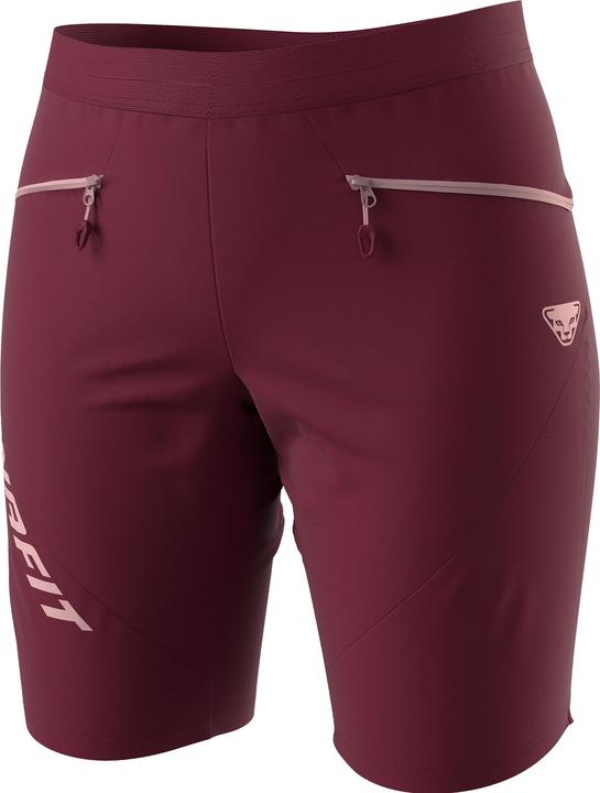 Dynafit Traverse Dynastretch Shorts (38)