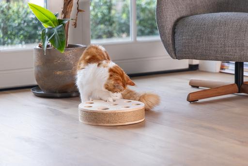 Productafbeelding Designed by Lotte Raya kattenspeeltje (Speelgoed met kattenkruid)