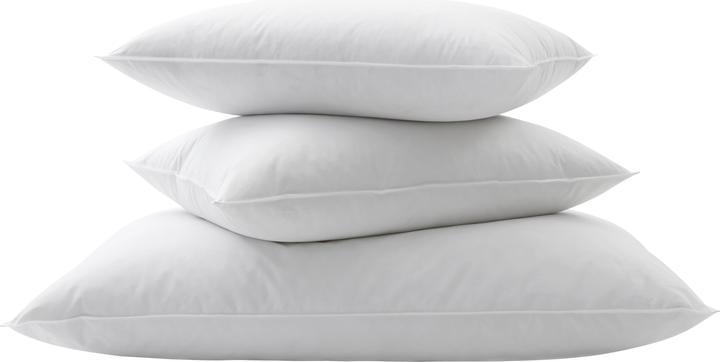 Image du produit Billerbeck Standard 250 (65 x 100 cm)
