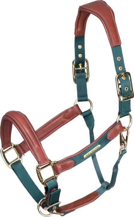 Immagine prodotto Velociti Pelle Imbottita Cavezza per Cavallo