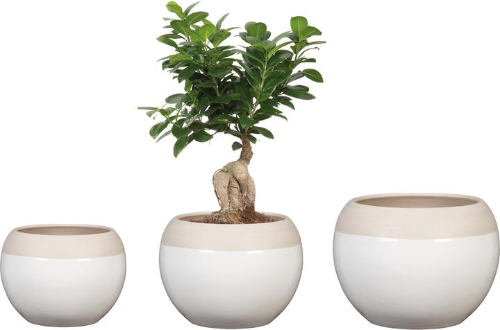 Produktbild Scheurich Blumentopf Blanco 718, 12.3 cm, Weiss, Detailfarbe: Beige (12.30 cm)