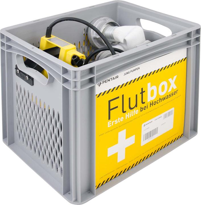 Actual product image Pentair Flood box JP09479 (Basement pump)
