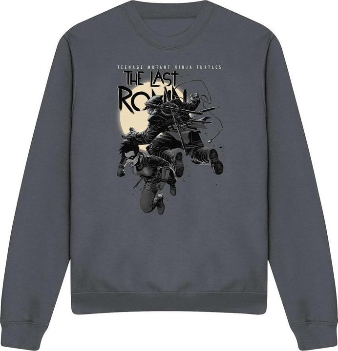 Teenage Mutant NT Sweatshirt (L)