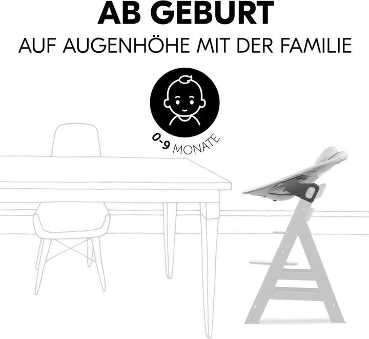 Actual product image Hauck Highchairs Alpha Plus Grey 4-piece Newbornset Light Grey - (Highchair)