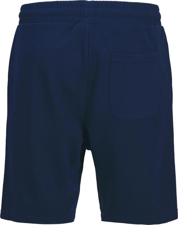 Actual product image Jack & Jones Loose Fit Sweat-Shorts Mini Sweat-Shorts (116)
