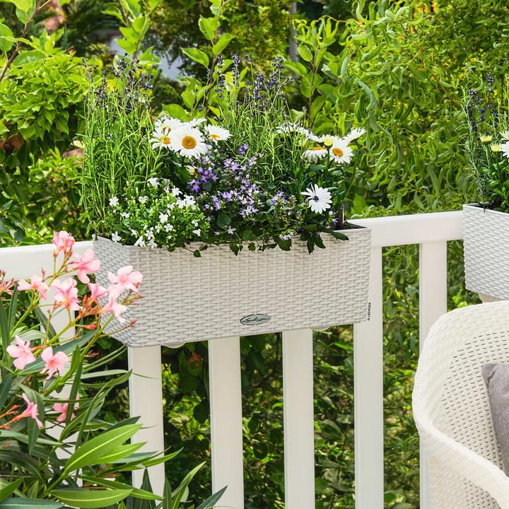 Immagine prodotto Lechuza Balconera Cottage (19 cm)