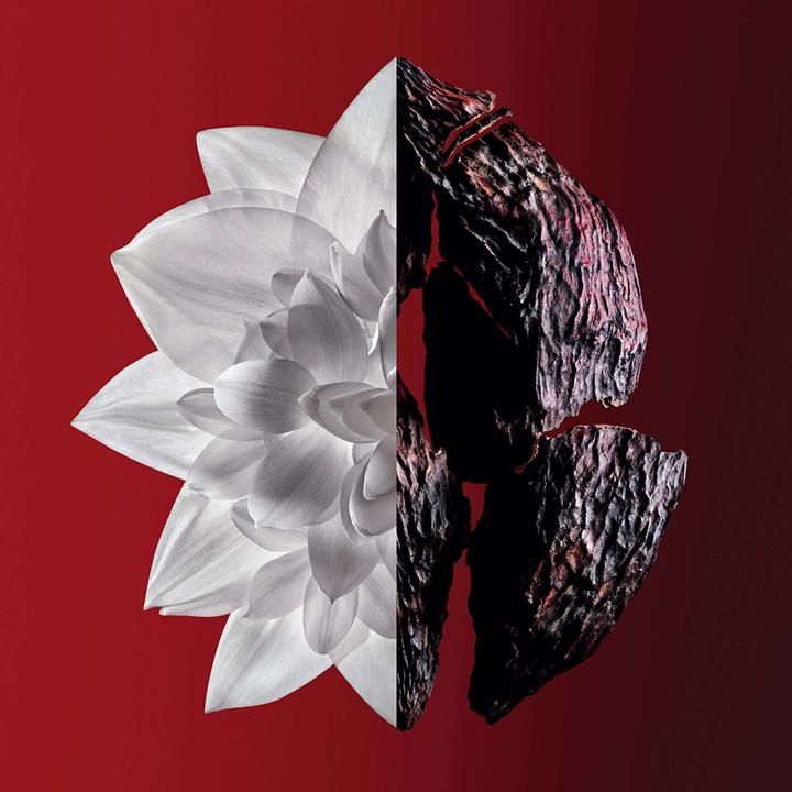 Actual product image Givenchy L'Interdit (Eau de parfum, 50 ml)