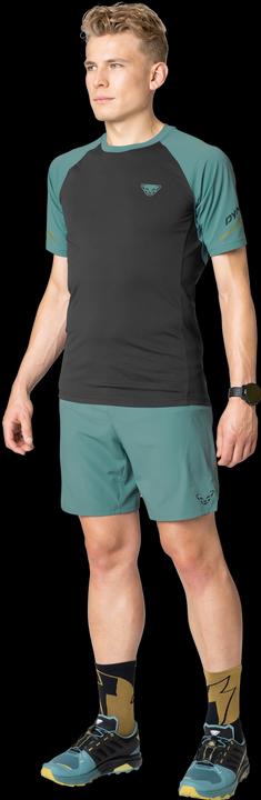 Produktbild Dynafit ALPINE PRO 2/1 SHORTS, Herren (XL)