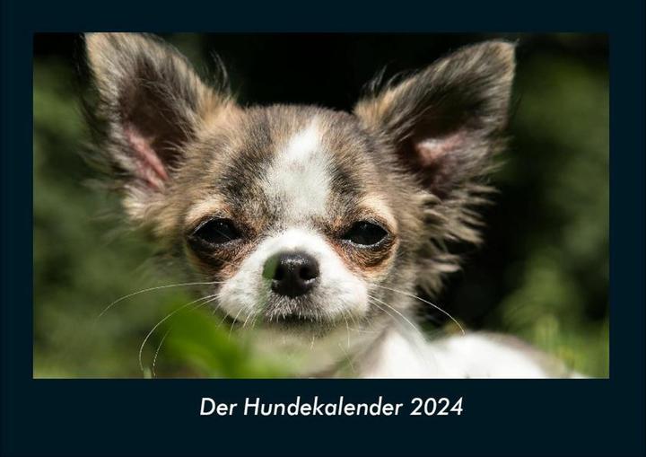 Actual product image Der Hundekalender 2024 Fotokalender DIN A4 (A4, German)