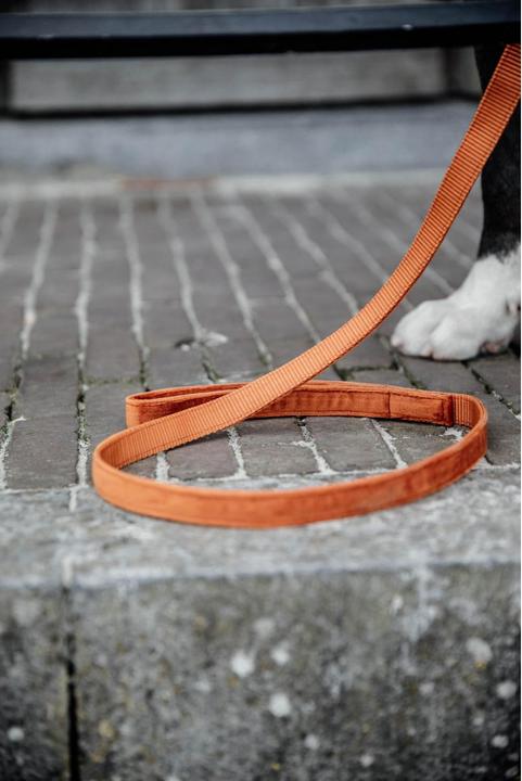 Produktbild Kentucky Dogwear Hundeleine Velvet (L, Hund, Allgemein)