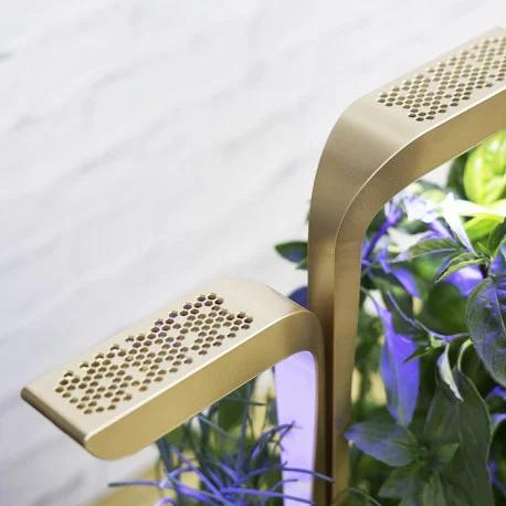 Actual product image Véritable VERITABLE CONNECT Indoor Garden gold incl 4 Packs (18.50 cm)