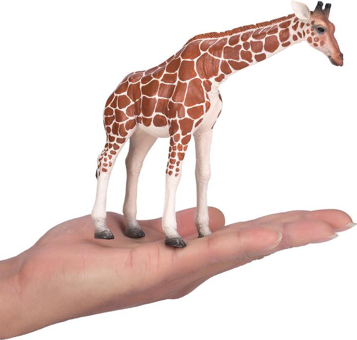Immagine prodotto Mojo Wildlife Giraffa femmina - 381033