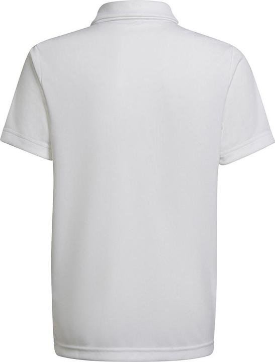 Productafbeelding adidas Entrada 22 Polo Kinderen (164)