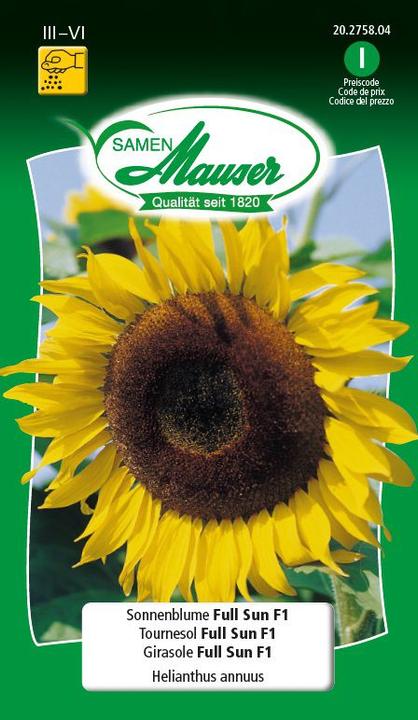 Tournesol Full Sun F1 (Graines de plantes)