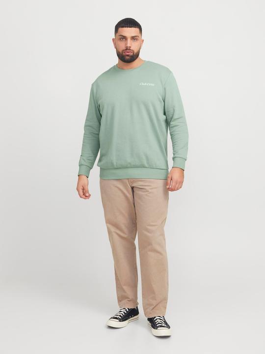 Actual product image Jack & Jones Plus Size Printed Sweatshirt Sweatshirt (5XL)