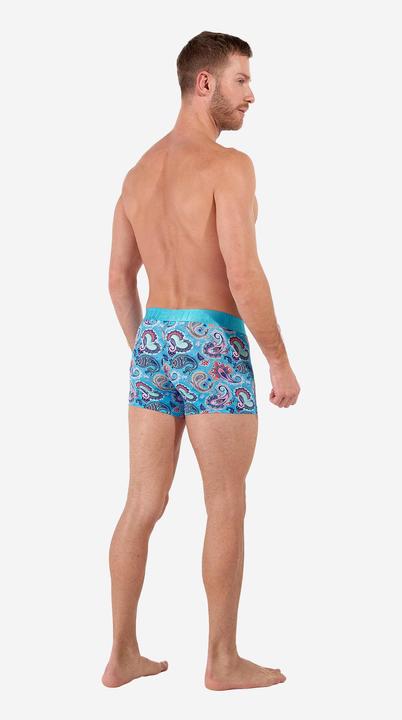 Immagine prodotto HOM Retro Boxer Funky Style HO1 (L, Confezione singola)