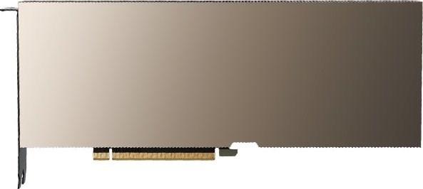 Actual product image PNY NVIDIA A16 (64 GB)