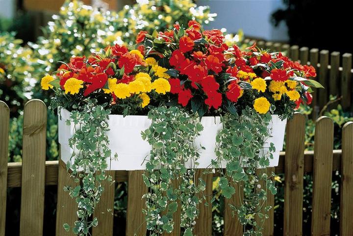 Immagine prodotto Gardena Irrigazione del balcone (Set per l'irrigazione a goccia)