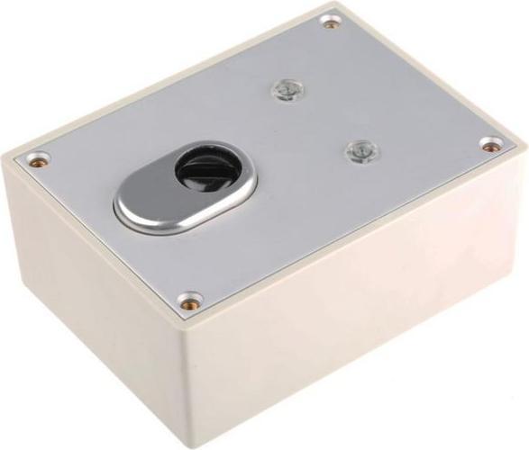 Actual product image Abus Surface Mount Key Switch
