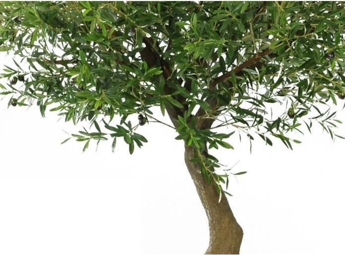 Produktbild Greendeco Künstlicher Olivenbaum 270 cm mit Oliven