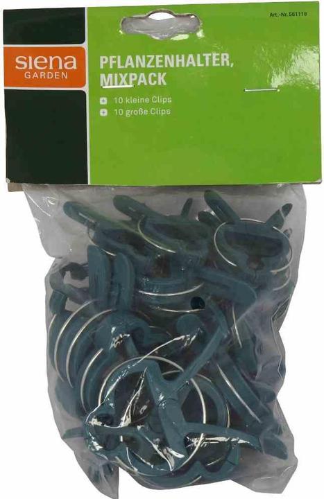 Actual product image Siena Garden MixPack (6 cm, 8 cm)