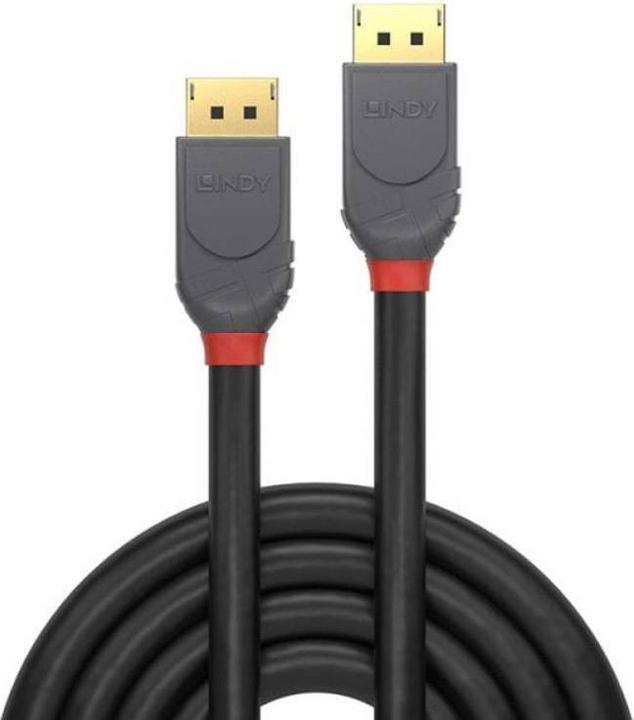 Immagine prodotto Lindy DisplayPort — DisplayPort (1 m, DisplayPort)