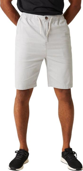 Regatta Aldan Shorts