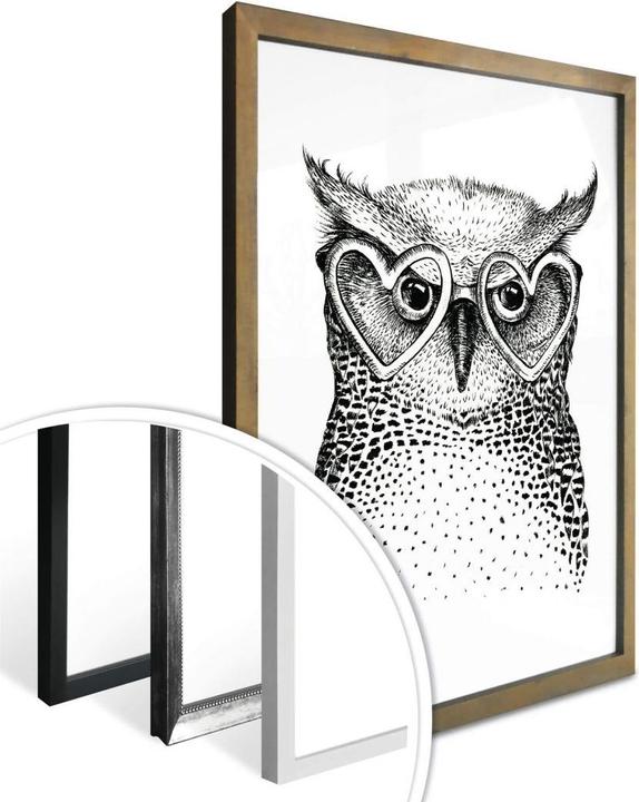 Image du produit Trenddeko Kvilis - Le petit hibou geek (30 x 40 cm)