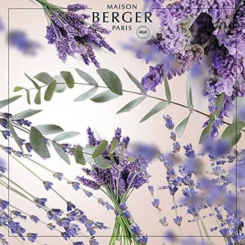 Actual product image Maison Berger Duft Champs de Lavande (1000 ml)