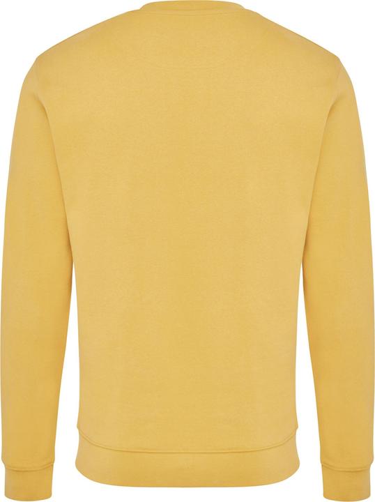 Immagine prodotto Universal Textiles Zion Felpa Girocollo Adulto Unisex (XL)