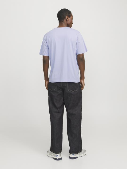 Produktbild Jack & Jones Jorvesterbro Tee Ss Crew Neck Noos (XXL)