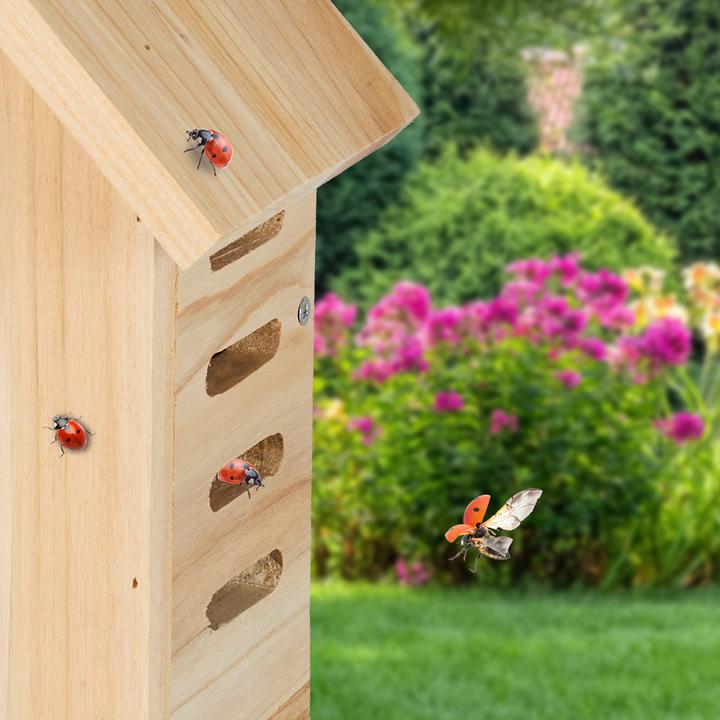 Productafbeelding Relaxdays lieveheersbeestje huis (Lieveheersbeestje)