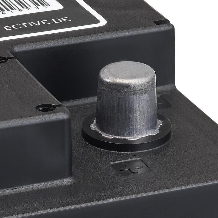 Actual product image Ective 12V 110Ah AGM Semi Cycle supply battery Motorhome battery Solar (12 V, 110 Ah)