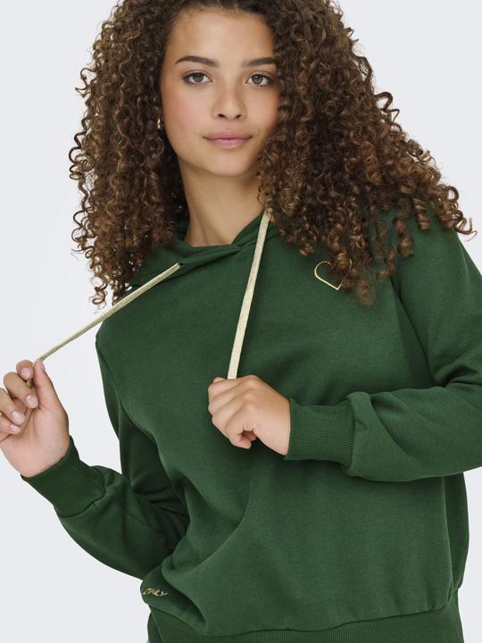 Immagine prodotto Only Onlnoli L/S Heart Hood Swt Noos (M)