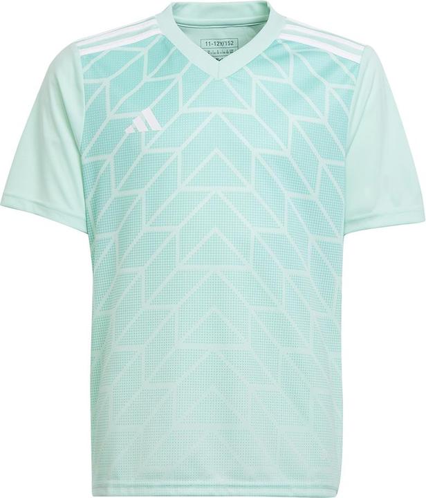 adidas Team Icon 23 Trikot (140)