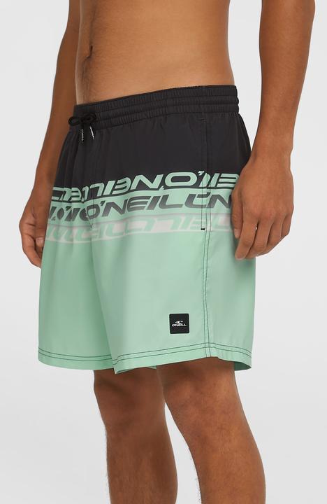 Actual product image O'Neill Cali Stripe 16" Swimshorts (M)