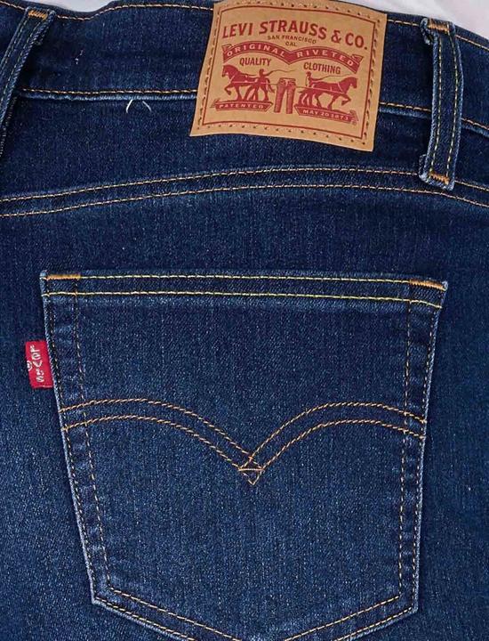 Actual product image Levis 10021733 (W32/L32)