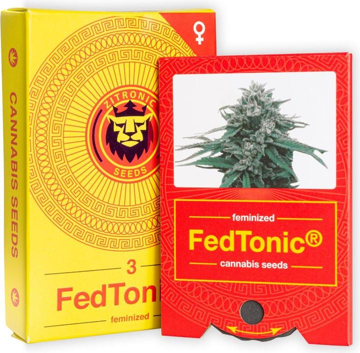 Image du produit JYM's Fedtonic CBD Seeds 3 pcs (Graines de plantes)