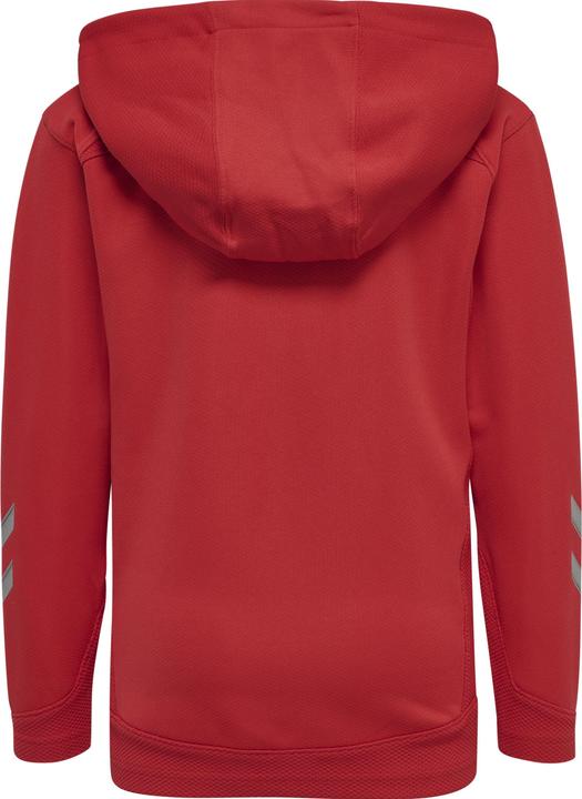 Actual product image hummel Lead Zip Poly Hoodie Kids (176)
