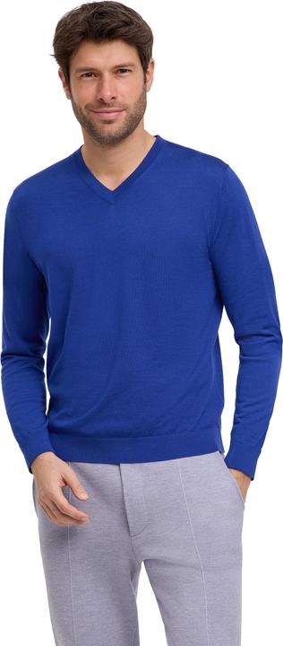Falke Herren (M)