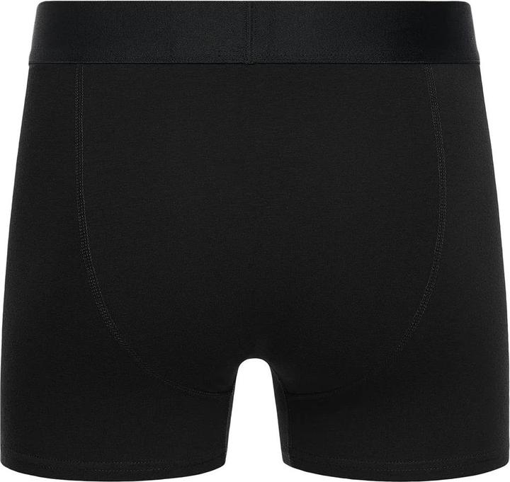 Immagine prodotto Bewley & Ritch Columbia Boxer Uomo Misura Confezione 5 (L)
