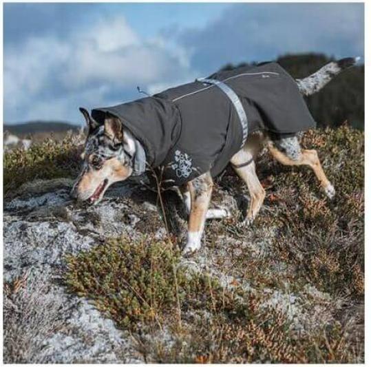 Image du produit Hurtta Le réchauffement extrême (30, XS, Manteau pour chien)
