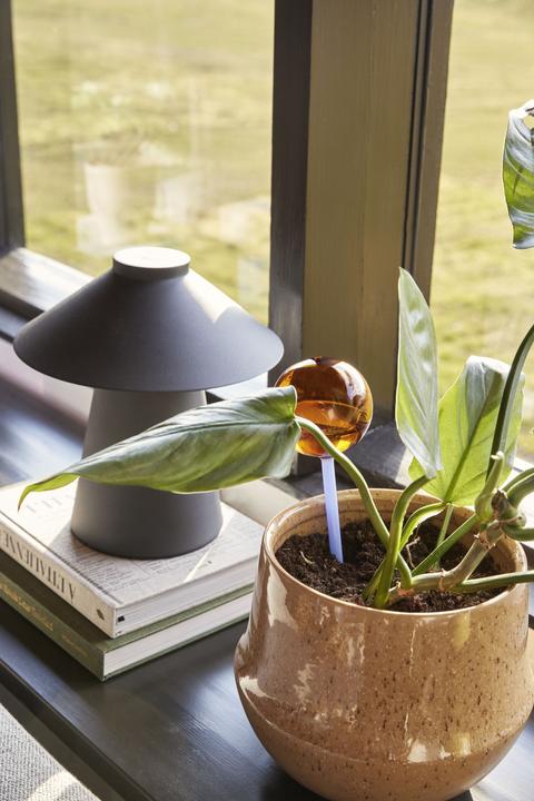 Actual product image Hübsch Pretty - Flora Aqua globe Amber/Blue (Irrigation balls)