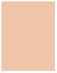 Produktbild L'Oréal Paris Perfect Match (1C Rose Ivory)