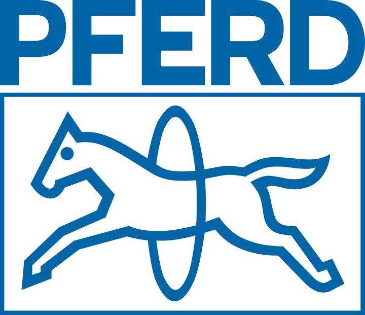 Produktbild Pferd Diamant Handy Feile (Hieb 0, 215 mm)