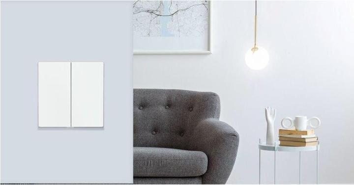 Actual product image TP-Link TAPO S220 - Smart light switch, 2-gang one way